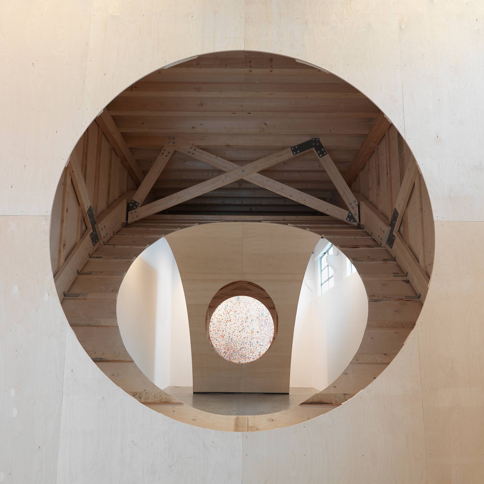dan colen show
