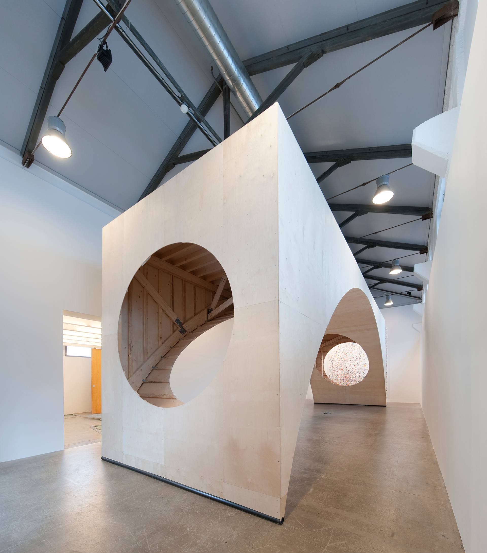 dan colen show