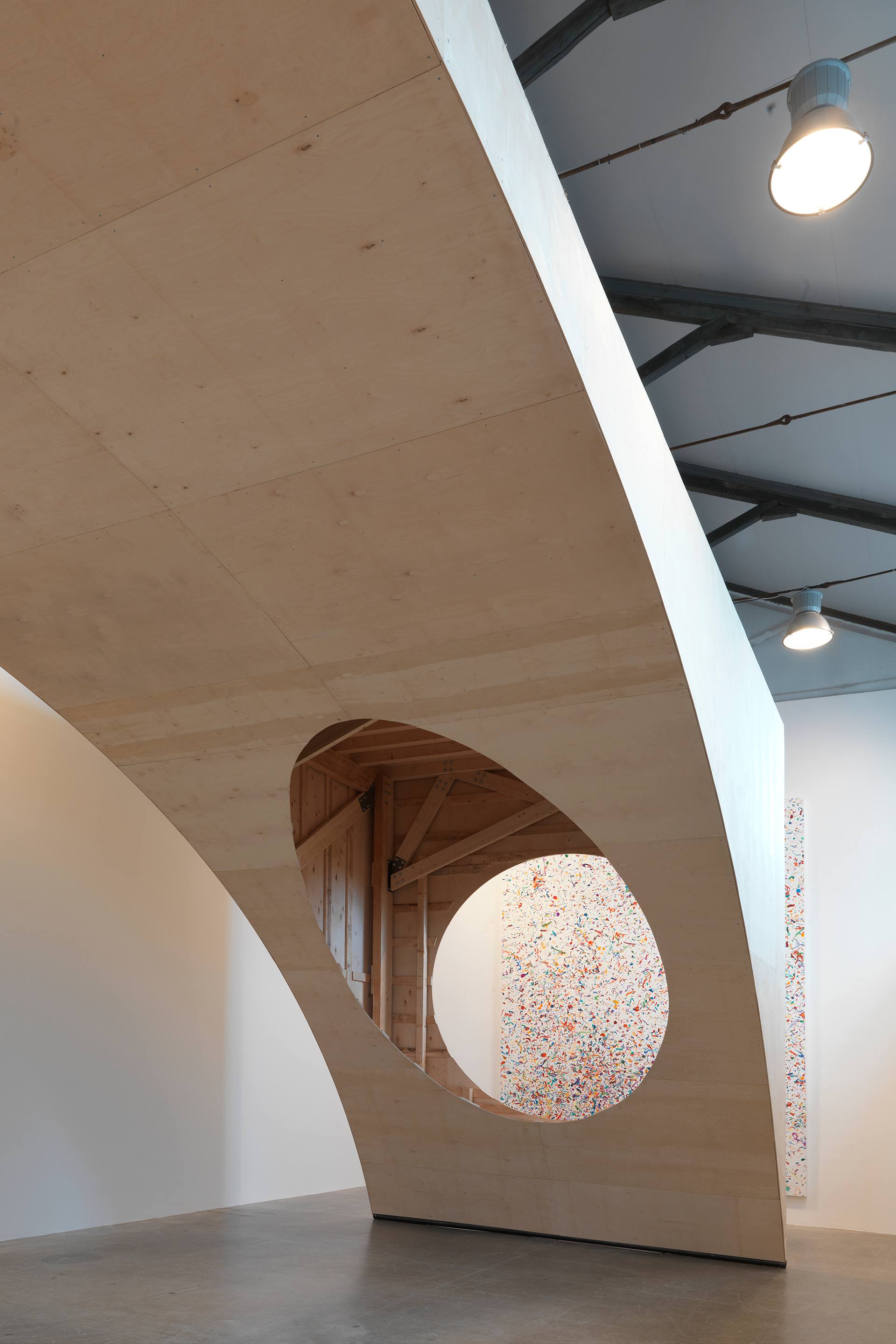 dan colen show